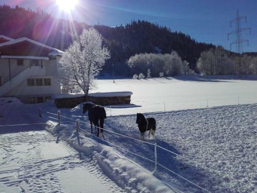 Apartamento Ferienhaus Kahr Appartment Ennstal