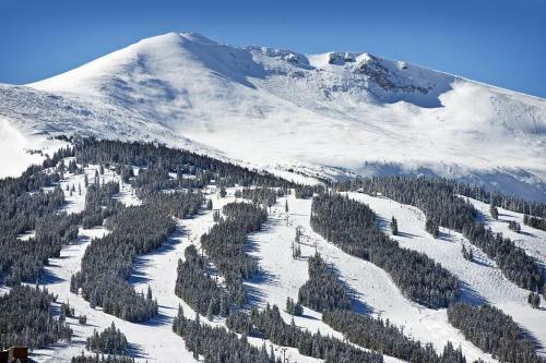 Antlers Condo Unit M175