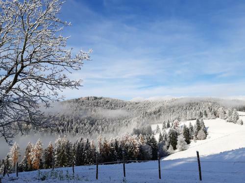 Apartamento Auszeit Almhaus Schmalzbauer
