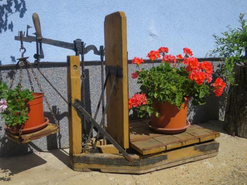 Apartamento Ferienwohnungen Sattler