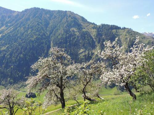 Apartamento Ferienhaus Tauernblick