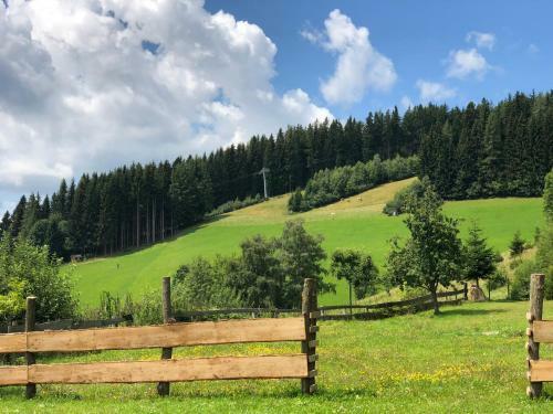 Waldheimath�tte