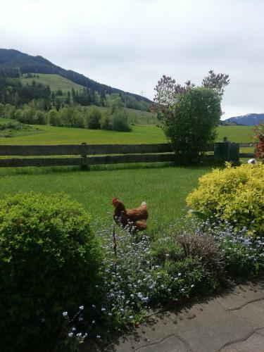 Apartamento Haus Schreder