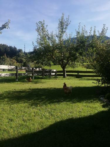 Apartamento Haus Schreder