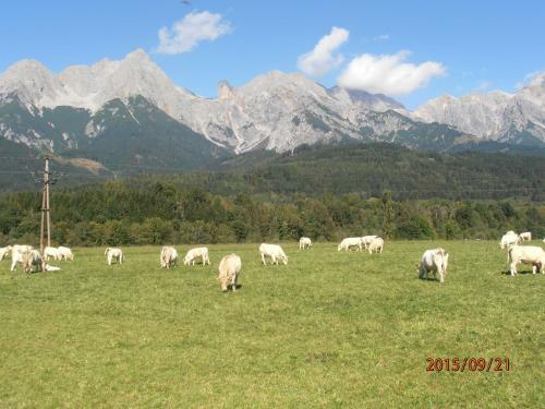 Ferienhaus Baumgarten