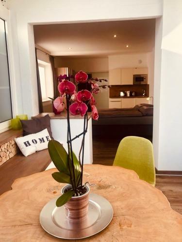 Echt Heimat Apartments