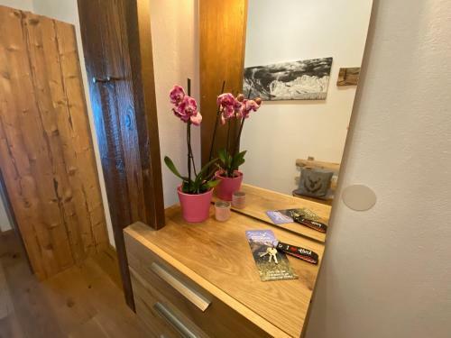 Apartamento Berghof Haselsberger Appartements