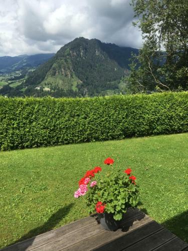 Apartamento Appartement Rettensteiner