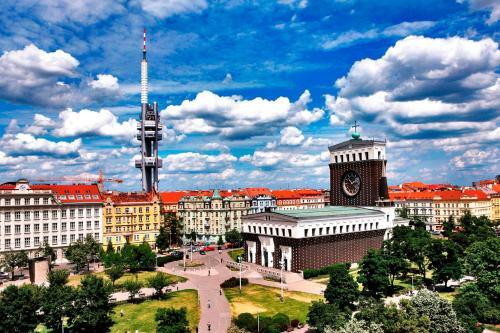 Modern Apartment Riegrovy Sady