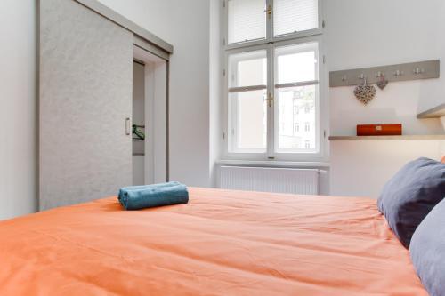 Luxury Apartment With Two Bedrooms