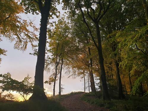 Bed & Breakfast Wye Valley Retreat