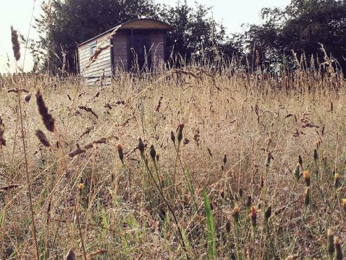 Agroturismo Wellbank Shepherds Hut