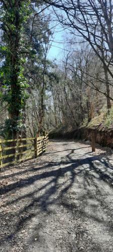 Glan Mydyr Woodland Yurts