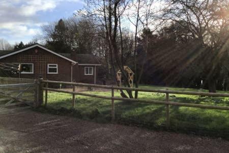 Bed & Breakfast Hedgehog Lodge Solitary Retreat
