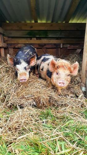 Yetland Farm Holiday Cottages