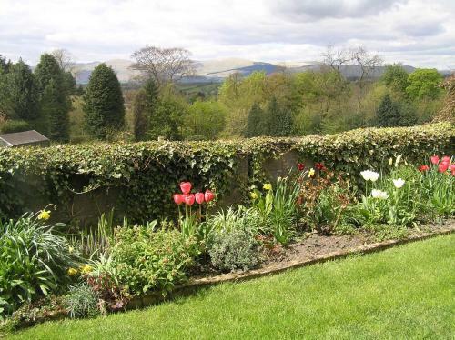 Bed & Breakfast Balnacraig