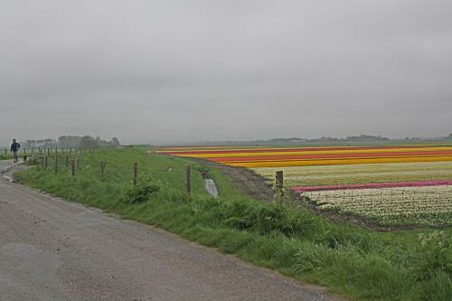 Hotelhuisje Warmenhuizen #d