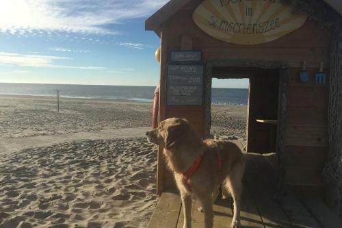 Huis Direct Ann de Waddenzee 6 Meerblick 20 Meter Blick Aufs Wattenmeer