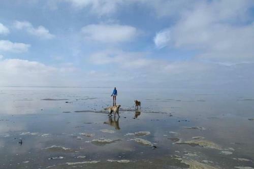 Huis Direct Ann de Waddenzee 6 Meerblick 20 Meter Blick Aufs Wattenmeer