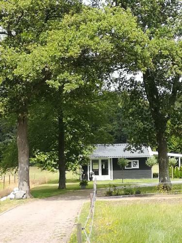 B&B Stripsein