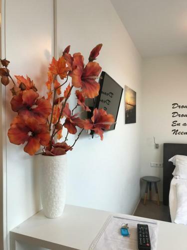 Apartamento Hendrikhof Studio Nr. 4 ?het Spant?