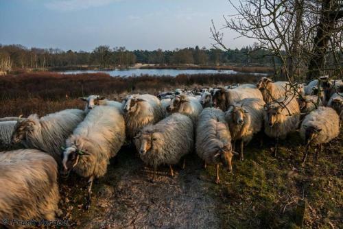 AA Casia Vakantiehuis