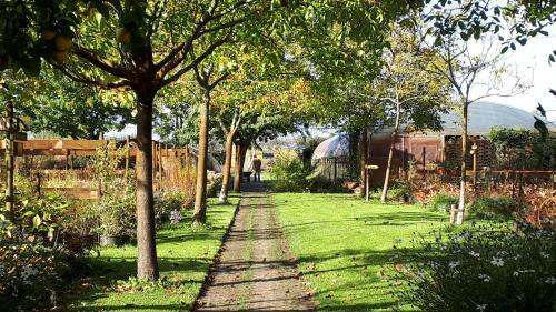 Pipowagen Overnachting Het Houten Huis