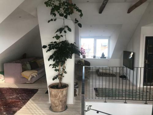 Big And Beautiful Villa In Nyhamnsl�ge