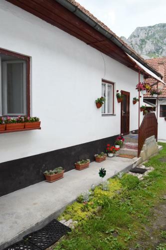 Hostal Casa De Vacan?? H�rsfa Vend�gh�z