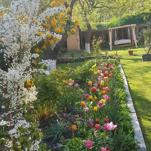 Hostal Villa Rihuini Authentic Saxon House