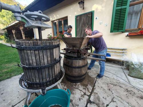Hostal Villa Rihuini Authentic Saxon House