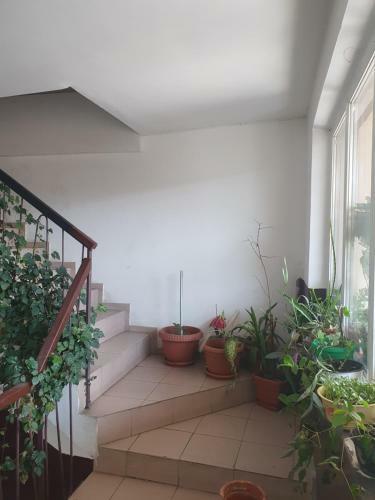Apartament Etaj 4-2 Camere