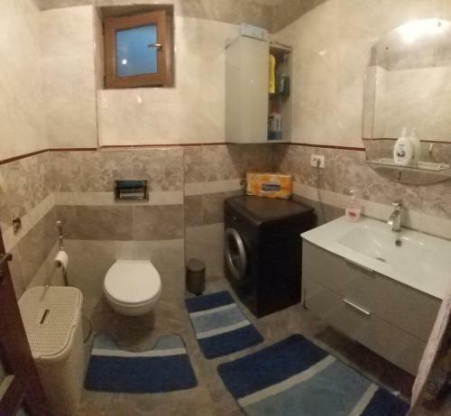 Hostal Pensiunea Vila Mocanilor