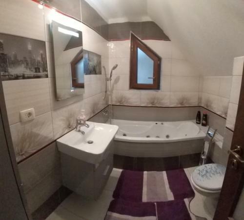 Hostal Pensiunea Vila Mocanilor