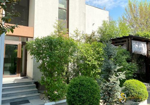 Motel Hotel Saftica