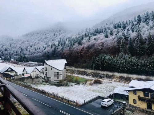Hostal Pensiunea Alexandru