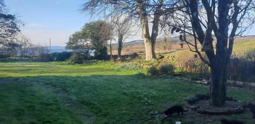 Hostal Kiltearn House