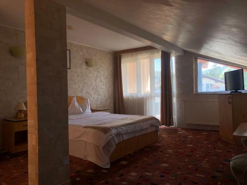 Hostal Pensiunea Vladet Predeal