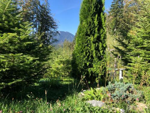 Hostal Pensiunea Vladet Predeal
