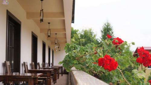 Hostal Pensiunea Medieval