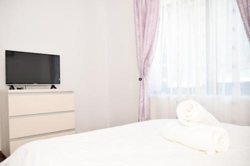 Transylvania Apartment 6