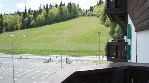 Hostal Pensiunea Alpin