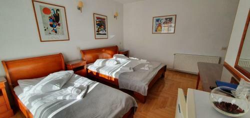 Hostal Pensiunea Alpin
