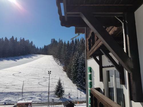 Hostal Pensiunea Alpin
