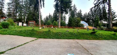 Paradise Haven Apartment, Predeal!