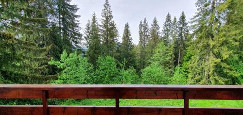 Paradise Haven Apartment, Predeal!