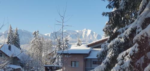Paradise Haven Apartment, Predeal!