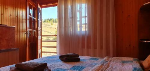 Serenity Villa