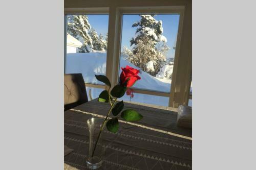 Great Stay Villa Sandviken