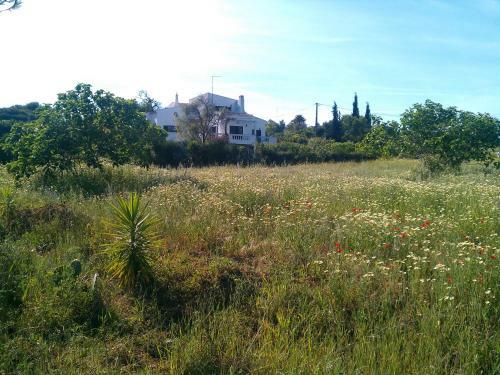 Apartamento Traquility At Villa Fonte Coberta